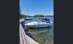 Sea Ray Sundancer 275-kuva-1